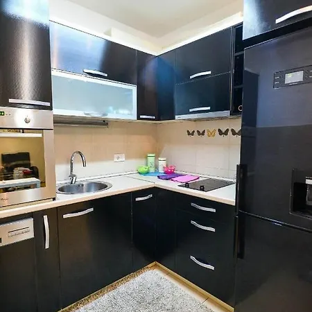 安吉洛公寓 公寓 贝尔格莱德